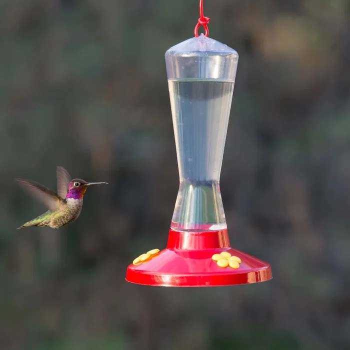 Hummingbird Feeder 211