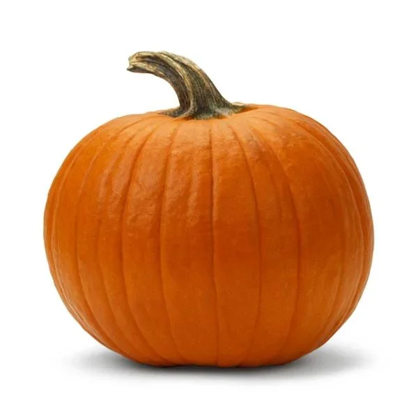 Jack O Lantern Pumpkin Seed