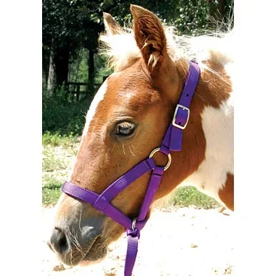 Jeffers Nylon “Grow With Me” Weanling Horse Halter, 3/4″W