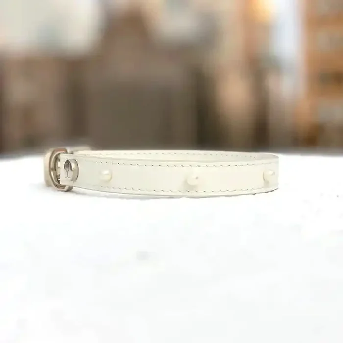 Jila Dog Collar