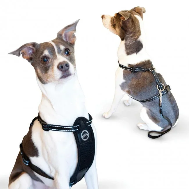 K&H Pet Products Travel Safety Pet Harness Exrta Large
