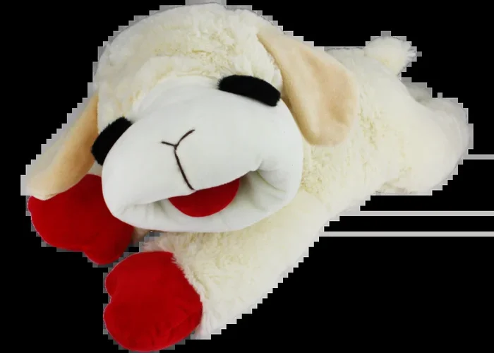 Lamb Chop