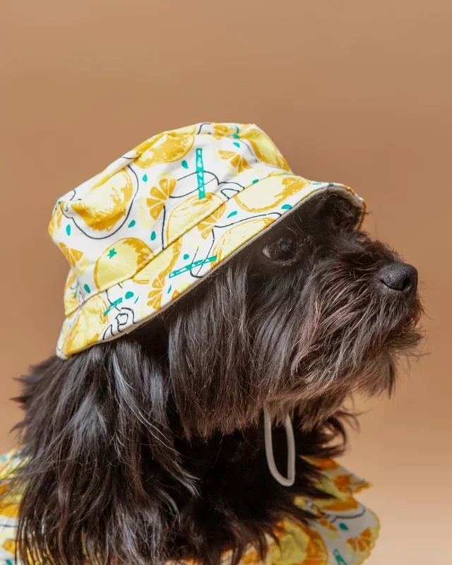 Lemonade Bucket Hat for Dogs