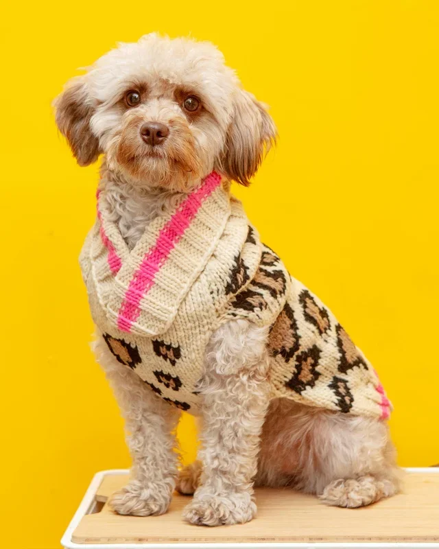 Leopard Print Dog Sweater (FINAL SALE)
