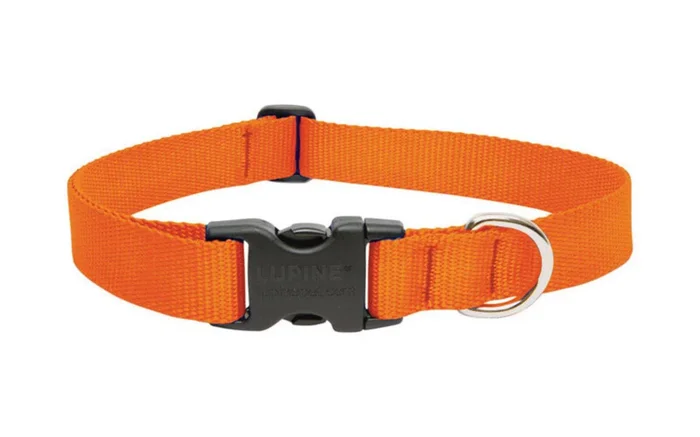 Lupine Basic Collar Blaze Orange