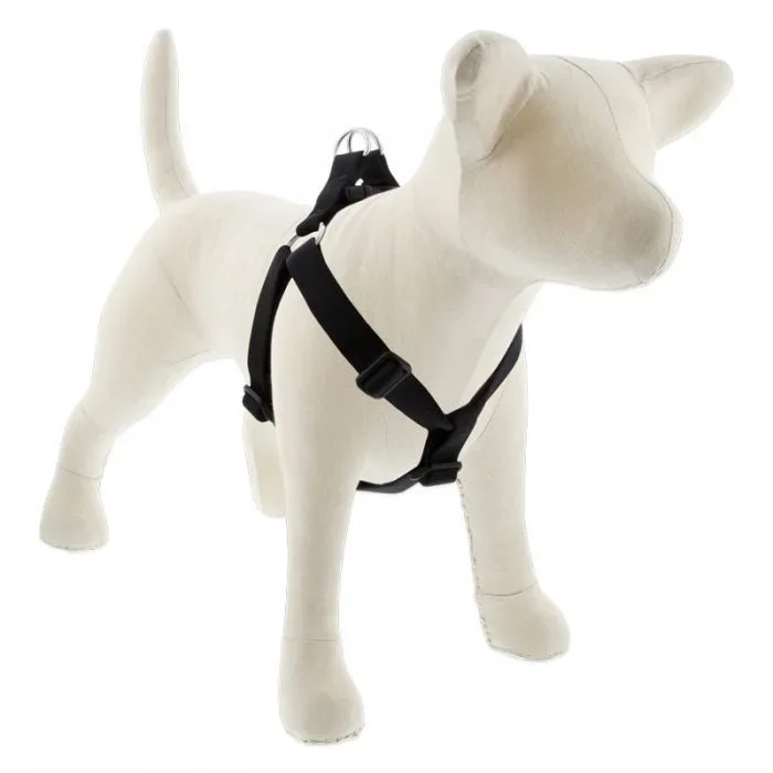Lupine Step-In Harness Black