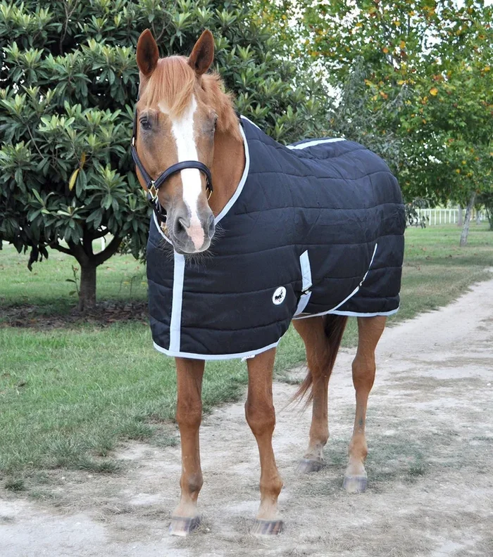 Manta de cuadra Jeffers con relleno de 240 g y parte delantera cerrada para caballos