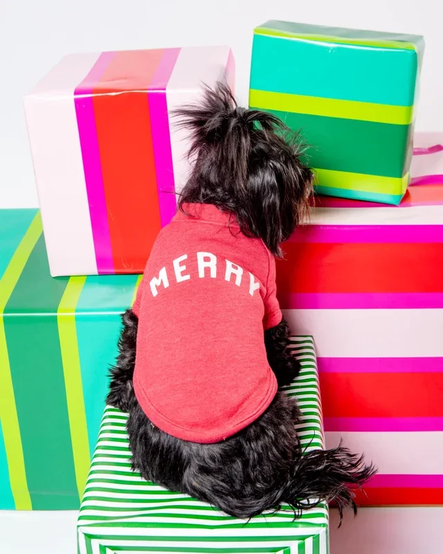 MERRY Holiday Dog Sweatshirt