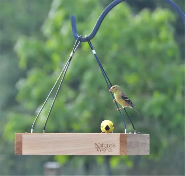 Nature’s Way Hanging Platform Feeder
