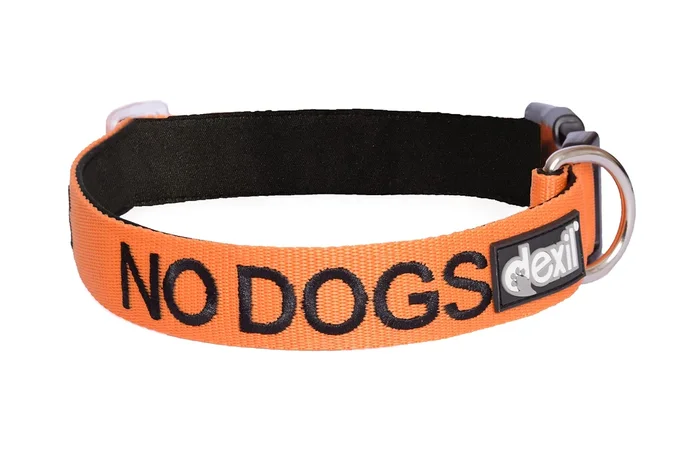 No Dogs (Not Good With Other Dogs) Orange Colour Coded S-M L-Xl Dog Collars Prevents Accidents By Warning Others Of Your Dog In Advance (L-Xl)