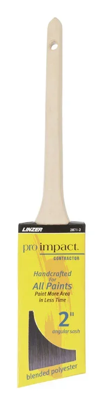 PAINTBRUSH PRO 2″AS RTH