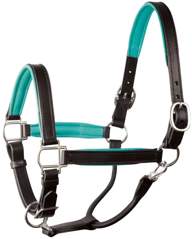 Perri’s Soft Padded Leather Halter, Black/Turquoise