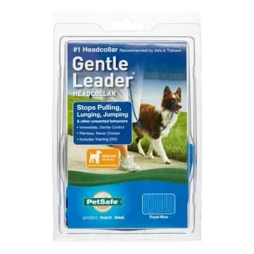 PETSAFE温柔的领导者快速扣子扣宝蓝色MD