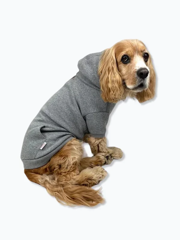 Pullover Dog Hoodie in Grey (FINAL SALE)