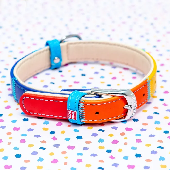 Rainbow Leather Dog Collar