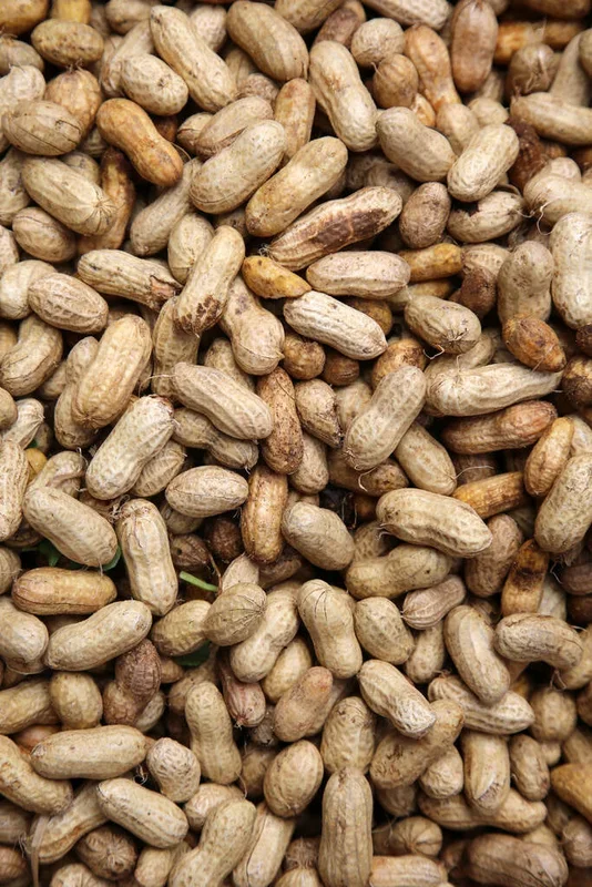 Raw Peanuts in the Shell
