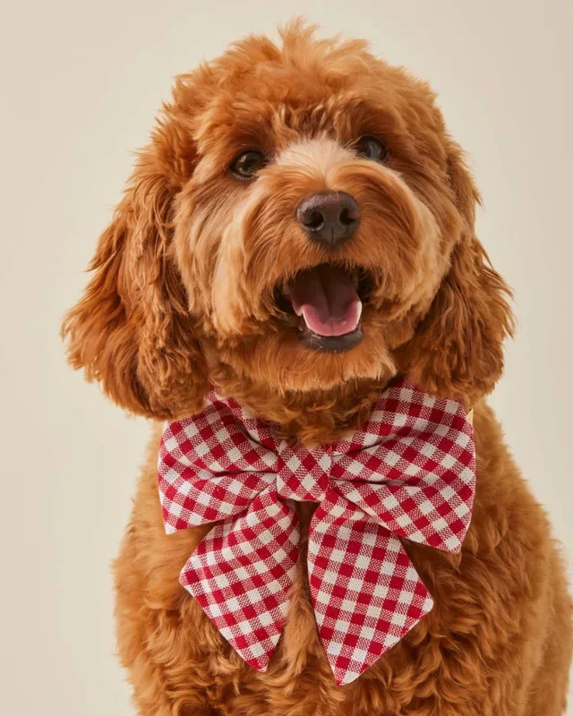 Red Gingham Lady Dog Bow