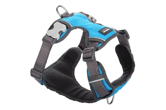 RedDingo Padded Dog Harness Turquoise