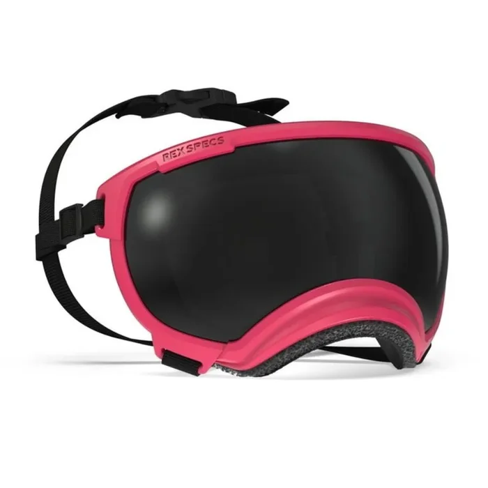 Rex Specs Dog Goggles – V2 Yazberry Small