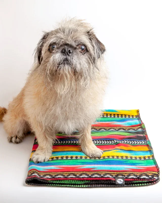 Serape Fleece Blanket