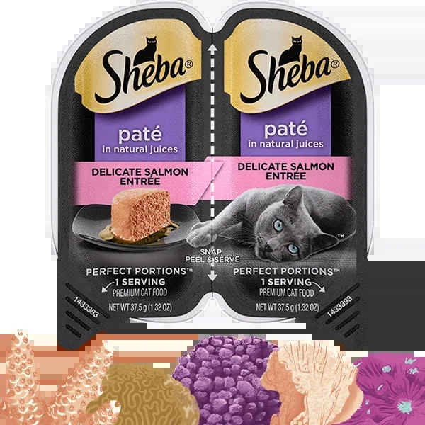 SHEBA® PERFECT PORTIONS™ Premium Paté Delicate Salmon Entrée