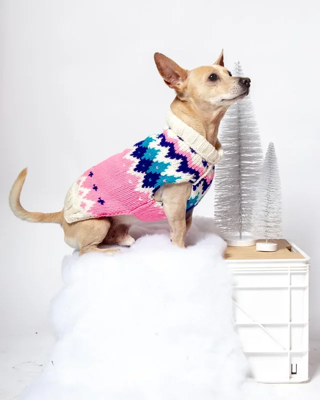 Ski Bum Dog Sweater in Pink (FINAL SALE)