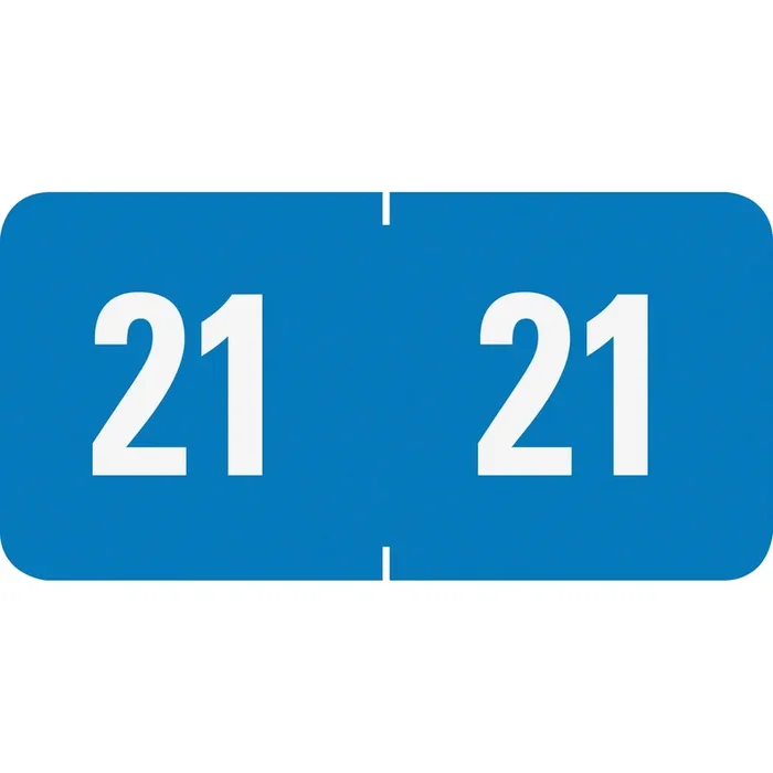 Smead ETS Color-Coded Year Labels – SMD67921