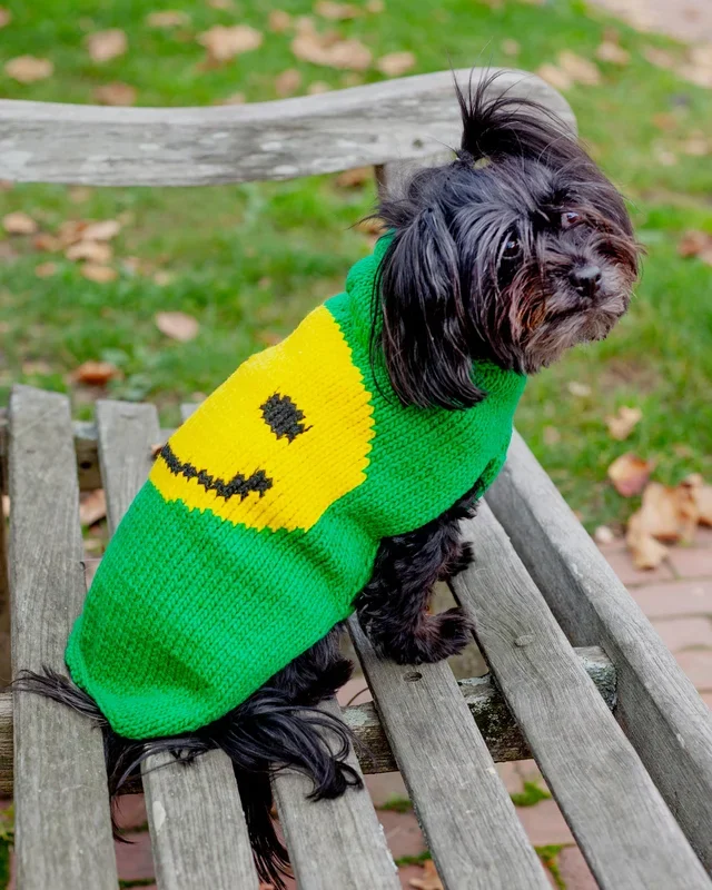 Smiley Face Dog Sweater (DOG & CO. Exclusive)