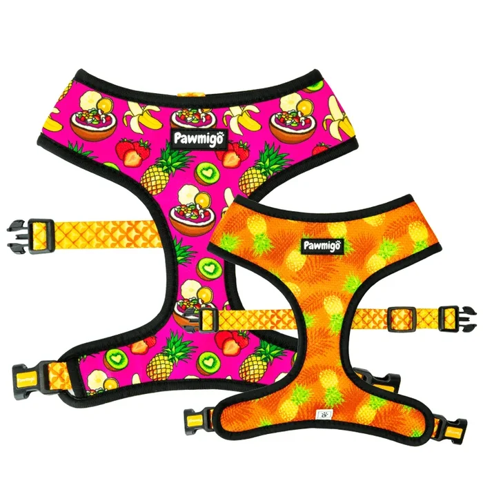 Snack Shack Reversible Dog Harness