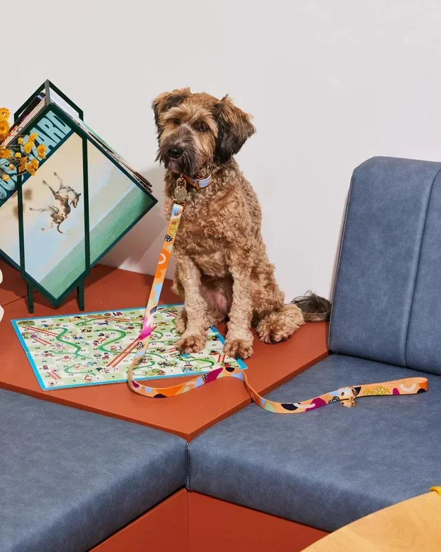 Snakes & Ladders Leather Dog Leash