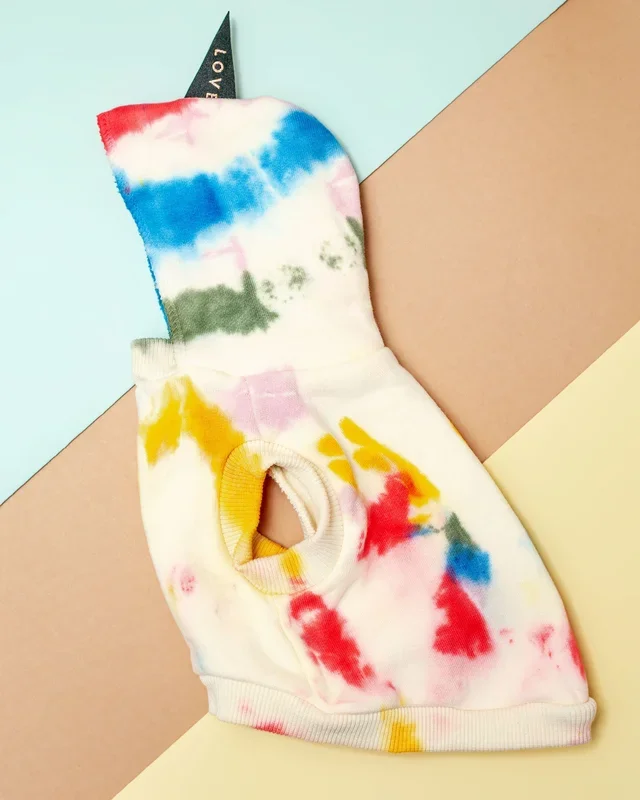 Studio Splatter Dog Sweatshirt in Henri (FINAL SALE)