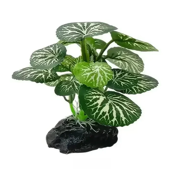 Talis-us ant farm kit decorations