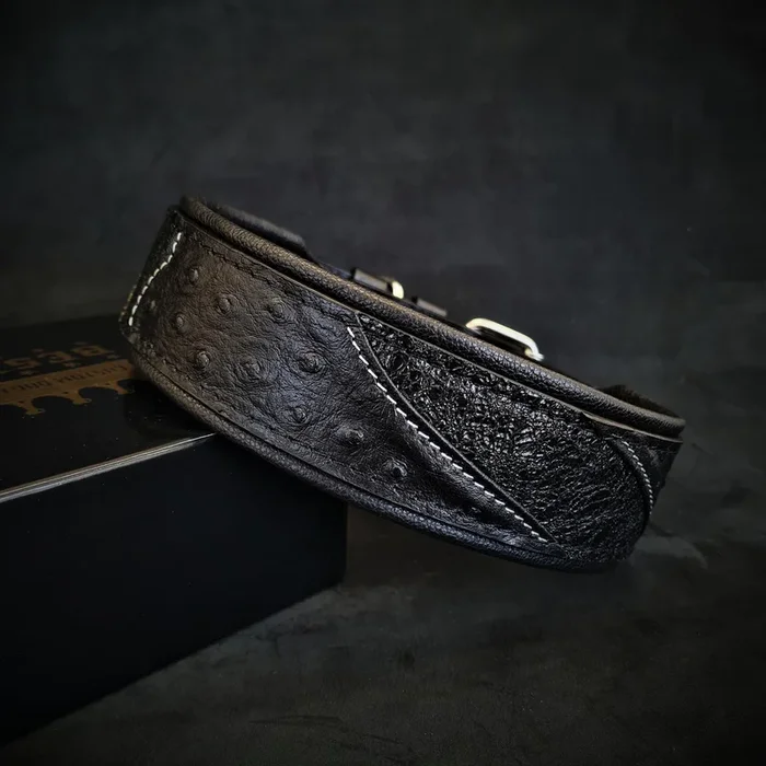 The “Korona” collar BLACK EDITION