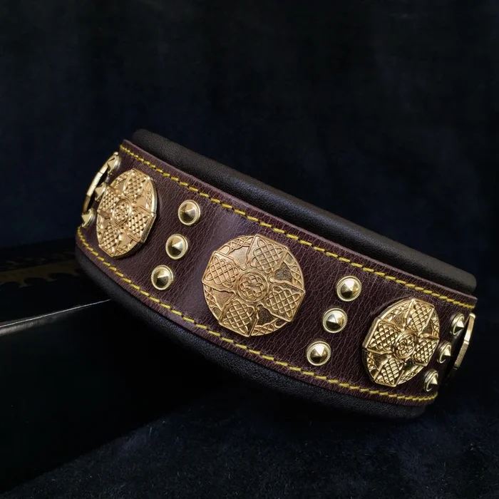 The “Maximus” collar 2.5 inch wide brown & gold