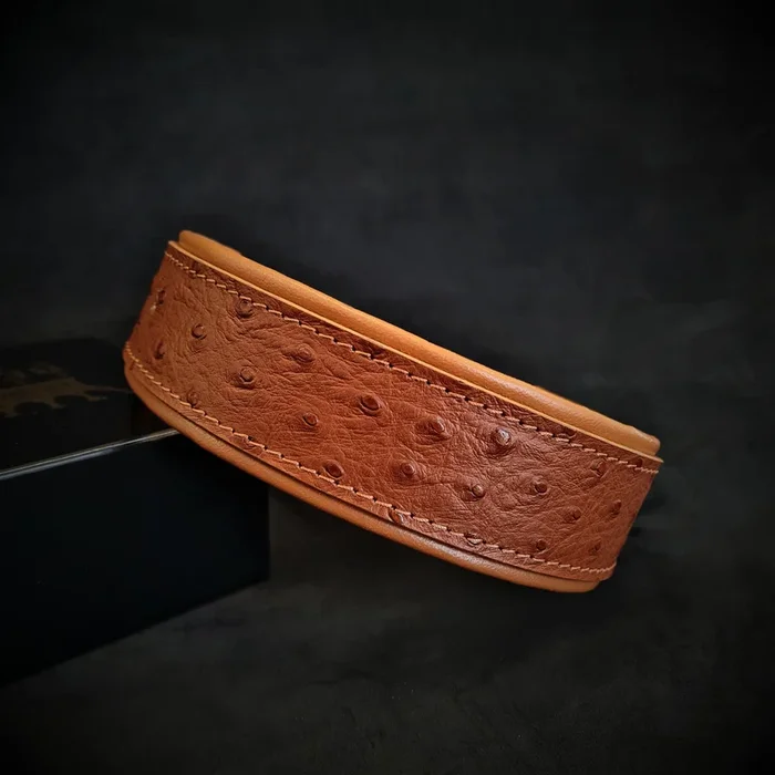 The “Ostrich” collar LIMITED