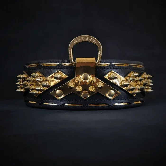 The ”Midas” Collar Gold