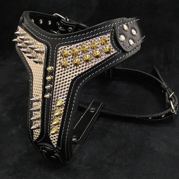 The ”Platinum” harness