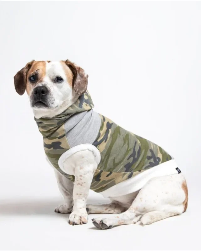 The Cadet Cotton Camo Hoodie for Long Dogs (Made in the USA)