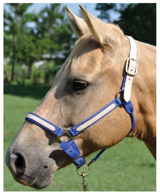 Tough1 Leather Overlay Breakaway Horse Nylon Halter