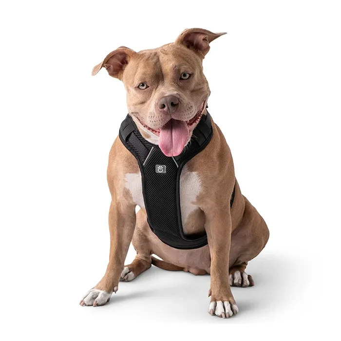 Travel Harness – Black