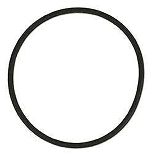 Two Little Fishies O-Ring for Phosban Reactor 150