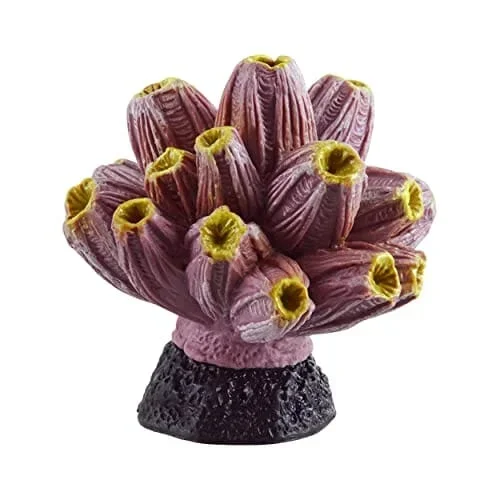 Underwater Treasures Barnacle – Purple/Yellow