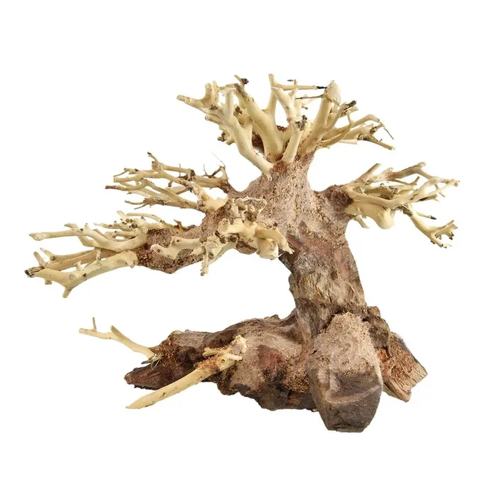 Underwater Treasures Bonsai Wood – Large