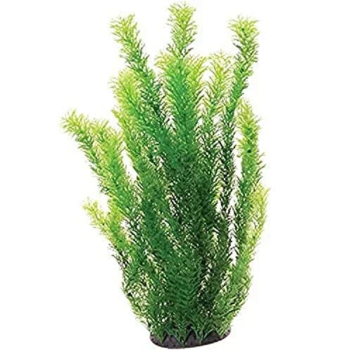Underwater Treasures Cabomba – 20″