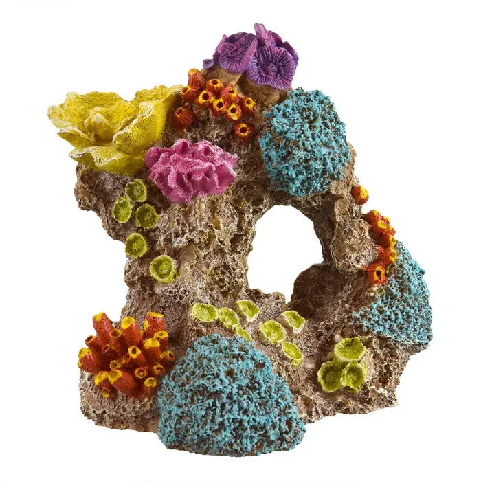 Underwater Treasures Florida Reef