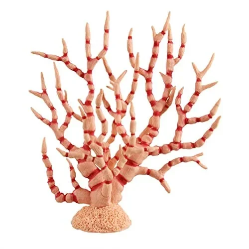 Underwater Treasures Gorgonian – Orange Crème