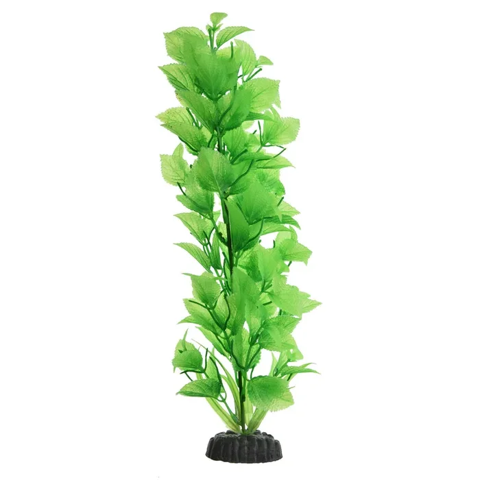Underwater Treasures Green Broadleaf – Tall