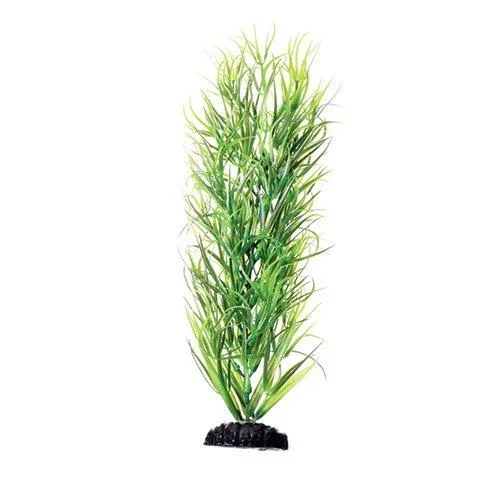 Underwater Treasures Green Diandra – 12″