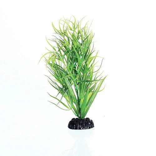 Underwater Treasures Green Diandra – 8″