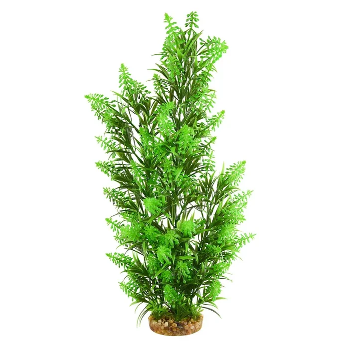 Underwater Treasures Green Tip Kelp – Tall